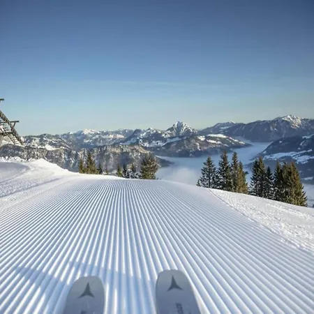Apartment In Neustift Near Lift, Cleaning Included *